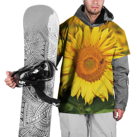 Накидка на куртку 3D с принтом Подсолнух в Белгороде, 100% полиэстер |  | подсолнух | подсолнухи | природа | растение | растения | флора | фотография | цвет | цветами | цветов | цветок | цветочек | цветочки | цветочные | цветочный | цветы