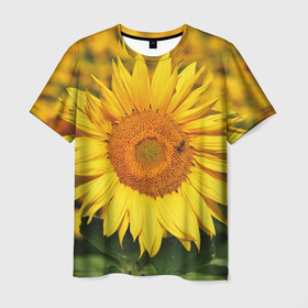 Мужская футболка 3D с принтом Подсолнух в Кировске, 100% полиэфир | прямой крой, круглый вырез горловины, длина до линии бедер | подсолнух | подсолнухи | природа | растение | растения | флора | фотография | цвет | цветами | цветов | цветок | цветочек | цветочки | цветочные | цветочный | цветы