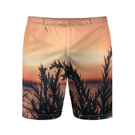 Мужские шорты спортивные с принтом Трава растение закат силуэт в Курске,  |  | закат | кусты | лето | на каждый день | природа | рассвет | растение | свет | силуэт