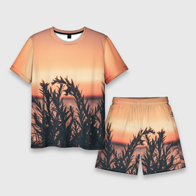 Мужской костюм с шортами 3D с принтом Трава растение закат силуэт ,  |  | Тематика изображения на принте: закат | кусты | лето | на каждый день | природа | рассвет | растение | свет | силуэт