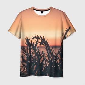 Мужская футболка 3D с принтом Трава растение закат силуэт в Курске, 100% полиэфир | прямой крой, круглый вырез горловины, длина до линии бедер | закат | кусты | лето | на каждый день | природа | рассвет | растение | свет | силуэт