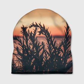 Шапка 3D с принтом Трава растение закат силуэт в Курске, 100% полиэстер | универсальный размер, печать по всей поверхности изделия | закат | кусты | лето | на каждый день | природа | рассвет | растение | свет | силуэт