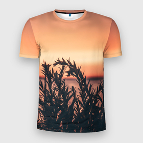 Мужская футболка 3D Slim с принтом Трава растение закат силуэт в Петрозаводске, 100% полиэстер с улучшенными характеристиками | приталенный силуэт, круглая горловина, широкие плечи, сужается к линии бедра | закат | кусты | лето | на каждый день | природа | рассвет | растение | свет | силуэт