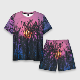 Мужской костюм с шортами 3D с принтом Трава растения закатный свет в Курске,  |  | вечер | закат | мило | небо | поле | рассвет | растения | свет | сумерки | сухоцвет