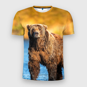 Мужская футболка 3D спортивная с принтом Мишка в Курске, 100% полиэстер с улучшенными характеристиками | приталенный силуэт, круглая горловина, широкие плечи, сужается к линии бедра | bear | медведь | мишка