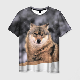 Мужская футболка 3D с принтом Wolf | Волк в Тюмени, 100% полиэфир | прямой крой, круглый вырез горловины, длина до линии бедер | wolf | wolfs | волк | волки | волчара