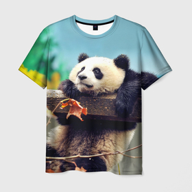 Мужская футболка 3D с принтом Панда , 100% полиэфир | прямой крой, круглый вырез горловины, длина до линии бедер | bear | panda | медведь | мишка | панда | панды