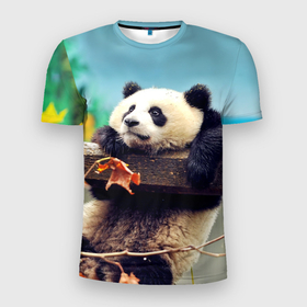 Мужская футболка 3D Slim с принтом Панда в Курске, 100% полиэстер с улучшенными характеристиками | приталенный силуэт, круглая горловина, широкие плечи, сужается к линии бедра | bear | panda | медведь | мишка | панда | панды