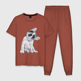 Мужская пижама хлопок с принтом бульдог в Тюмени, 100% хлопок | брюки и футболка прямого кроя, без карманов, на брюках мягкая резинка на поясе и по низу штанин
 | бульдог | животные | песокафе | рисунок | собаки