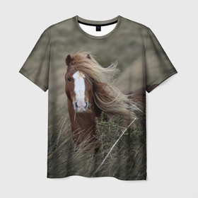 Мужская футболка 3D с принтом Конь в Петрозаводске, 100% полиэфир | прямой крой, круглый вырез горловины, длина до линии бедер | животные | звери | кони | конь | коняшка | лошади | лошадка | лошадь | пони | природа