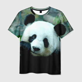 Мужская футболка 3D с принтом Панда , 100% полиэфир | прямой крой, круглый вырез горловины, длина до линии бедер | bear | panda | животные | звери | медведь | мишка | панда | панды | природа
