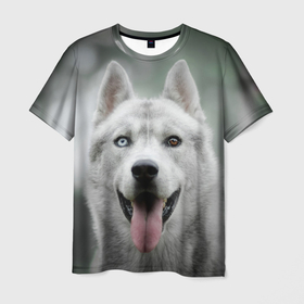 Мужская футболка 3D с принтом Хаски , 100% полиэфир | прямой крой, круглый вырез горловины, длина до линии бедер | dog | животные | пес | природа | собака | собаки | собакчка | собачки | хаски