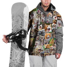 Накидка на куртку 3D с принтом Неко ахегао цвет в Курске, 100% полиэстер |  | Тематика изображения на принте: cat | mew | аниме | ахегао | зевок | котейки | кошки | мяу | неко | няшность | потерялся | сон