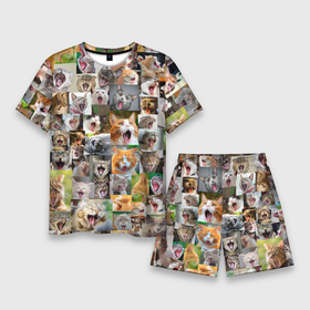 Мужской костюм с шортами 3D с принтом Неко ахегао цвет в Кировске,  |  | Тематика изображения на принте: cat | mew | аниме | ахегао | зевок | котейки | кошки | мяу | неко | няшность | потерялся | сон