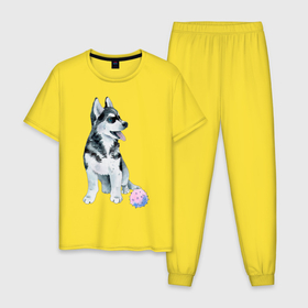 Мужская пижама хлопок с принтом Хаски в Тюмени, 100% хлопок | брюки и футболка прямого кроя, без карманов, на брюках мягкая резинка на поясе и по низу штанин
 | животные | песокафе | рисунок | собаки | хаски