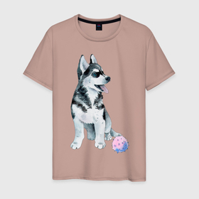 Мужская футболка хлопок с принтом Хаски в Белгороде, 100% хлопок | прямой крой, круглый вырез горловины, длина до линии бедер, слегка спущенное плечо. | животные | песокафе | рисунок | собаки | хаски