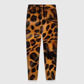 Мужские брюки 3D с принтом Леопард , 100% полиэстер | манжеты по низу, эластичный пояс регулируется шнурком, по бокам два кармана без застежек, внутренняя часть кармана из мелкой сетки | животные | кошки | леопард