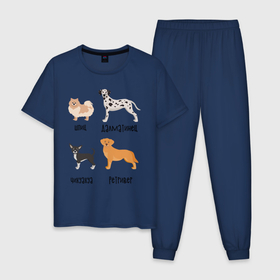 Мужская пижама хлопок с принтом шпиц далматинец  в Курске, 100% хлопок | брюки и футболка прямого кроя, без карманов, на брюках мягкая резинка на поясе и по низу штанин
 | Тематика изображения на принте: далматинец | песокафе | ретривер | собаки | чихуахуа | шпиц