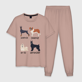 Мужская пижама хлопок с принтом доберман ши-тцу в Новосибирске, 100% хлопок | брюки и футболка прямого кроя, без карманов, на брюках мягкая резинка на поясе и по низу штанин
 | Тематика изображения на принте: доберман | песокафе | сенбернар | собаки | ши тцу