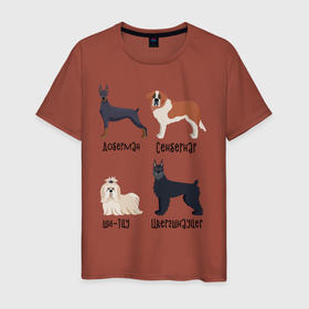 Мужская футболка хлопок с принтом доберман ши-тцу в Екатеринбурге, 100% хлопок | прямой крой, круглый вырез горловины, длина до линии бедер, слегка спущенное плечо. | доберман | песокафе | сенбернар | собаки | ши тцу