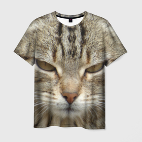 Мужская футболка 3D с принтом Кот в Белгороде, 100% полиэфир | прямой крой, круглый вырез горловины, длина до линии бедер | животное | животные | звери | зверь | киска | киски | кисуля | кот | котейки | котик | котики | коты | кошечка | кошка | кошки | природа | хищник | хищники