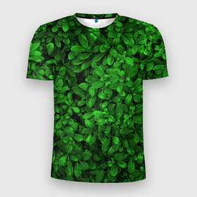 Мужская футболка 3D Slim с принтом Свежая трава , 100% полиэстер с улучшенными характеристиками | приталенный силуэт, круглая горловина, широкие плечи, сужается к линии бедра | Тематика изображения на принте: арт | зелёный | светлый | тёмный | четкий