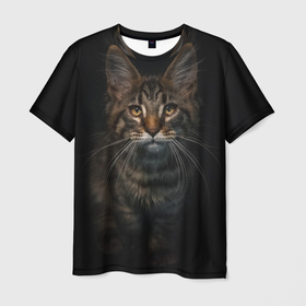 Мужская футболка 3D с принтом Кот усатый в Екатеринбурге, 100% полиэфир | прямой крой, круглый вырез горловины, длина до линии бедер | Тематика изображения на принте: cat | кот | котёнок | котик | кошка | мейн кун | полосатый | пушистый | усатый