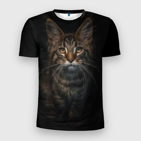 Мужская футболка 3D спортивная с принтом Кот усатый в Белгороде, 100% полиэстер с улучшенными характеристиками | приталенный силуэт, круглая горловина, широкие плечи, сужается к линии бедра | cat | кот | котёнок | котик | кошка | мейн кун | полосатый | пушистый | усатый