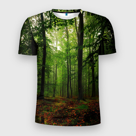 Мужская футболка 3D Slim с принтом Лес в Кировске, 100% полиэстер с улучшенными характеристиками | приталенный силуэт, круглая горловина, широкие плечи, сужается к линии бедра | деревья | земля . | лес | листья | лучи