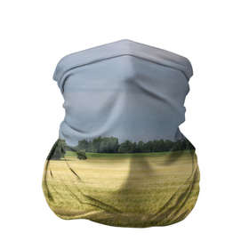 Бандана-труба 3D с принтом Пшеничное поле в Кировске, 100% полиэстер, ткань с особыми свойствами — Activecool | плотность 150‒180 г/м2; хорошо тянется, но сохраняет форму | деревья | колоски | поле | природа | пшеница | растения