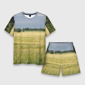 Мужской костюм с шортами 3D с принтом Пшеничное поле в Кировске,  |  | деревья | колоски | поле | природа | пшеница | растения
