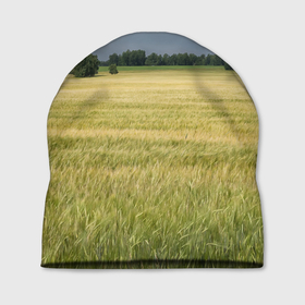 Шапка 3D с принтом Пшеничное поле в Кировске, 100% полиэстер | универсальный размер, печать по всей поверхности изделия | Тематика изображения на принте: деревья | колоски | поле | природа | пшеница | растения