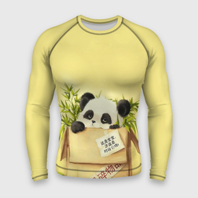 Мужской рашгард 3D с принтом Заказывали Панду в городе Новоалтайск,  |  | order | panda | заказ | заказывали панду | панда | панда в коробке
