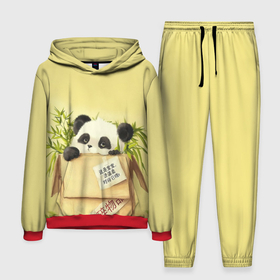 Мужской костюм 3D (с толстовкой) с принтом Заказывали Панду в Белгороде,  |  | order | panda | заказ | заказывали панду | панда | панда в коробке