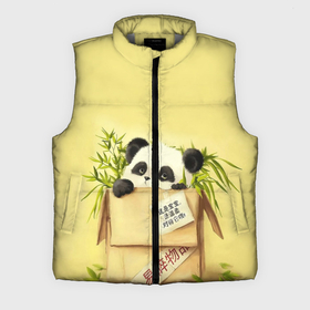 Мужской жилет утепленный 3D с принтом Заказывали Панду в Кировске,  |  | order | panda | заказ | заказывали панду | панда | панда в коробке