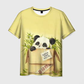 Мужская футболка 3D с принтом Заказывали Панду , 100% полиэфир | прямой крой, круглый вырез горловины, длина до линии бедер | order | panda | заказ | заказывали панду | панда | панда в коробке