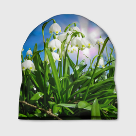 Шапка 3D с принтом Подснежники , 100% полиэстер | универсальный размер, печать по всей поверхности изделия | зелень | подснежник | подснежники | природа | природный | растение | растения | флора | цветок | цветочек | цветы