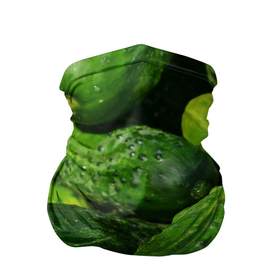 Бандана-труба 3D с принтом Огурцы в Новосибирске, 100% полиэстер, ткань с особыми свойствами — Activecool | плотность 150‒180 г/м2; хорошо тянется, но сохраняет форму | еда | зелень | огород | огурец | огуречик | огурцы | огурчик | огурчики | природа | растение | растения | флора