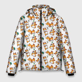 Мужская зимняя куртка 3D с принтом Корги в Белгороде, верх — 100% полиэстер; подкладка — 100% полиэстер; утеплитель — 100% полиэстер | длина ниже бедра, свободный силуэт Оверсайз. Есть воротник-стойка, отстегивающийся капюшон и ветрозащитная планка. 

Боковые карманы с листочкой на кнопках и внутренний карман на молнии. | Тематика изображения на принте: corgi | corgilove | корги | любовькорги | милыекорги