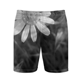 Мужские шорты спортивные с принтом Ромашка и вдохновляющая цитата ,  |  | мотивация | надпись | ромашка | цветок | цитата