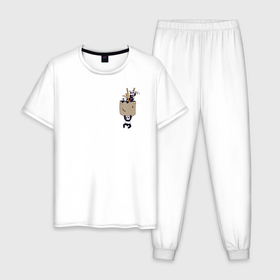 Мужская пижама хлопок с принтом Панды в Тюмени, 100% хлопок | брюки и футболка прямого кроя, без карманов, на брюках мягкая резинка на поясе и по низу штанин
 | Тематика изображения на принте: бамбук | животные | карман | панда