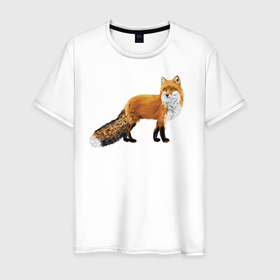 Мужская футболка хлопок с принтом Рыжая лиса в Тюмени, 100% хлопок | прямой крой, круглый вырез горловины, длина до линии бедер, слегка спущенное плечо. | животное | зверь | лиса | рисунок | рыжая | хитрая лиса