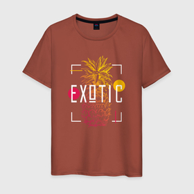 Мужская футболка хлопок с принтом Ананас с надписью Exotic , 100% хлопок | прямой крой, круглый вырез горловины, длина до линии бедер, слегка спущенное плечо. | exotic | ананас | лето | экзотика