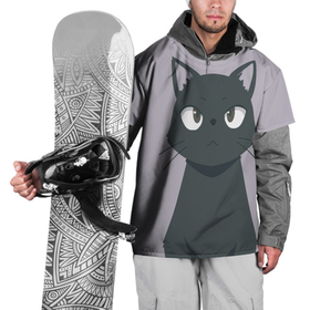 Накидка на куртку 3D с принтом Черный Кот из аниме в Петрозаводске, 100% полиэстер |  | аниме | аниме кот | арт | кёрный котёнок | кот | котёнок | кошка | рисунок | чёрная кошка | черный кот | черный котенок