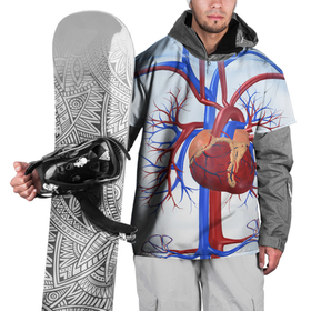Накидка на куртку 3D с принтом Сердце в Белгороде, 100% полиэстер |  | нервная система | органы | сердце | сосуды | строение человека
