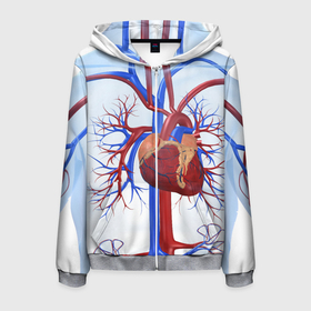 Мужская толстовка 3D на молнии с принтом Сердце в Кировске, 100% полиэстер | длина до линии бедра, манжеты и пояс оформлены мягкой тканевой резинкой, двухслойный капюшон со шнурком для регулировки, спереди молния, по бокам два кармана | Тематика изображения на принте: нервная система | органы | сердце | сосуды | строение человека