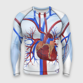 Мужской рашгард 3D с принтом Сердце в Кировске,  |  | нервная система | органы | сердце | сосуды | строение человека