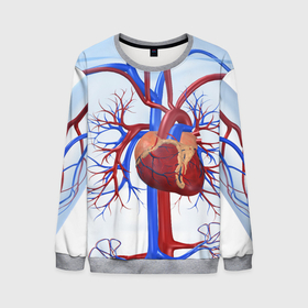 Мужской свитшот 3D с принтом Сердце в Петрозаводске, 100% полиэстер с мягким внутренним слоем | круглый вырез горловины, мягкая резинка на манжетах и поясе, свободная посадка по фигуре | Тематика изображения на принте: нервная система | органы | сердце | сосуды | строение человека