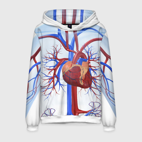 Мужская толстовка 3D с принтом Сердце в Петрозаводске, 100% полиэстер | двухслойный капюшон со шнурком для регулировки, мягкие манжеты на рукавах и по низу толстовки, спереди карман-кенгуру с мягким внутренним слоем. | нервная система | органы | сердце | сосуды | строение человека