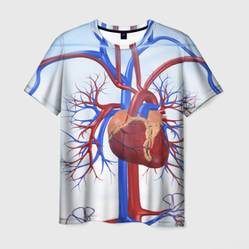 Мужская футболка 3D с принтом Сердце в Кировске, 100% полиэфир | прямой крой, круглый вырез горловины, длина до линии бедер | Тематика изображения на принте: нервная система | органы | сердце | сосуды | строение человека